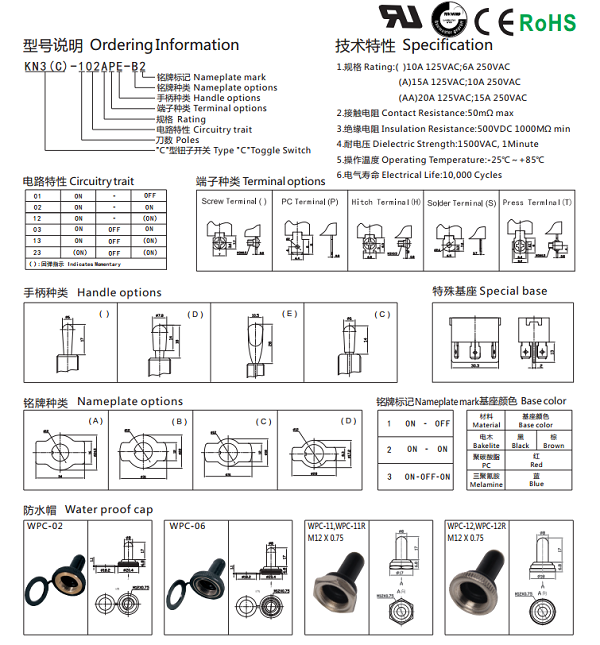 KN3(A)-101P.png